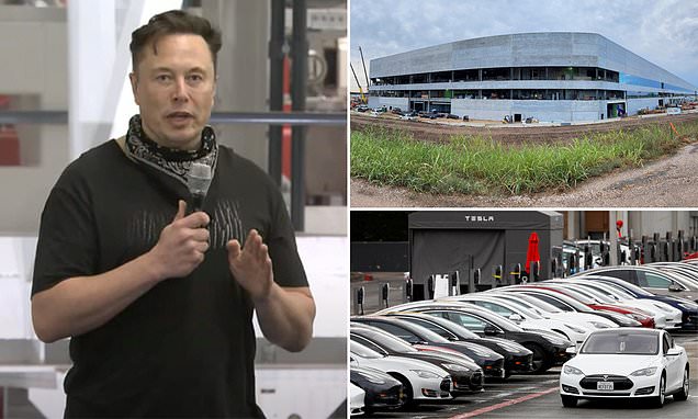 Tesla pulled the latest FSD Beta from owners’ cars today
