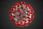 Study finds COVID-19 may be a seasonal issue just like the flu